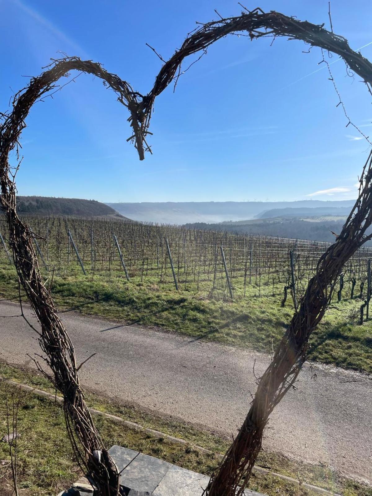 Fewo Waldblick - Urlaub Im Wein & Ferienort Bekond Kültér fotó